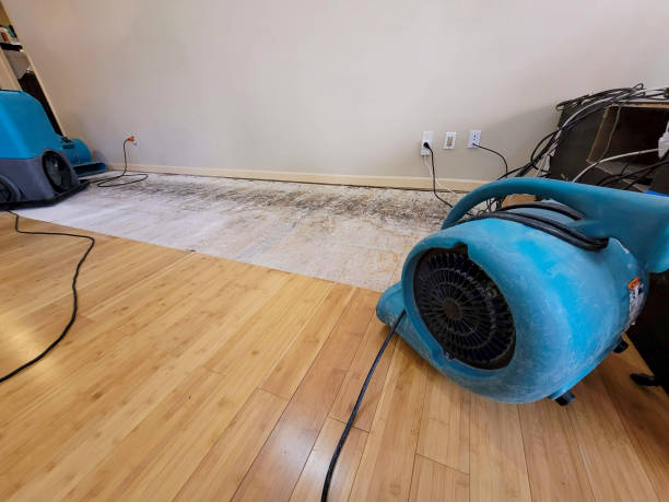 Professional Water Removal technician working in Orange, OH